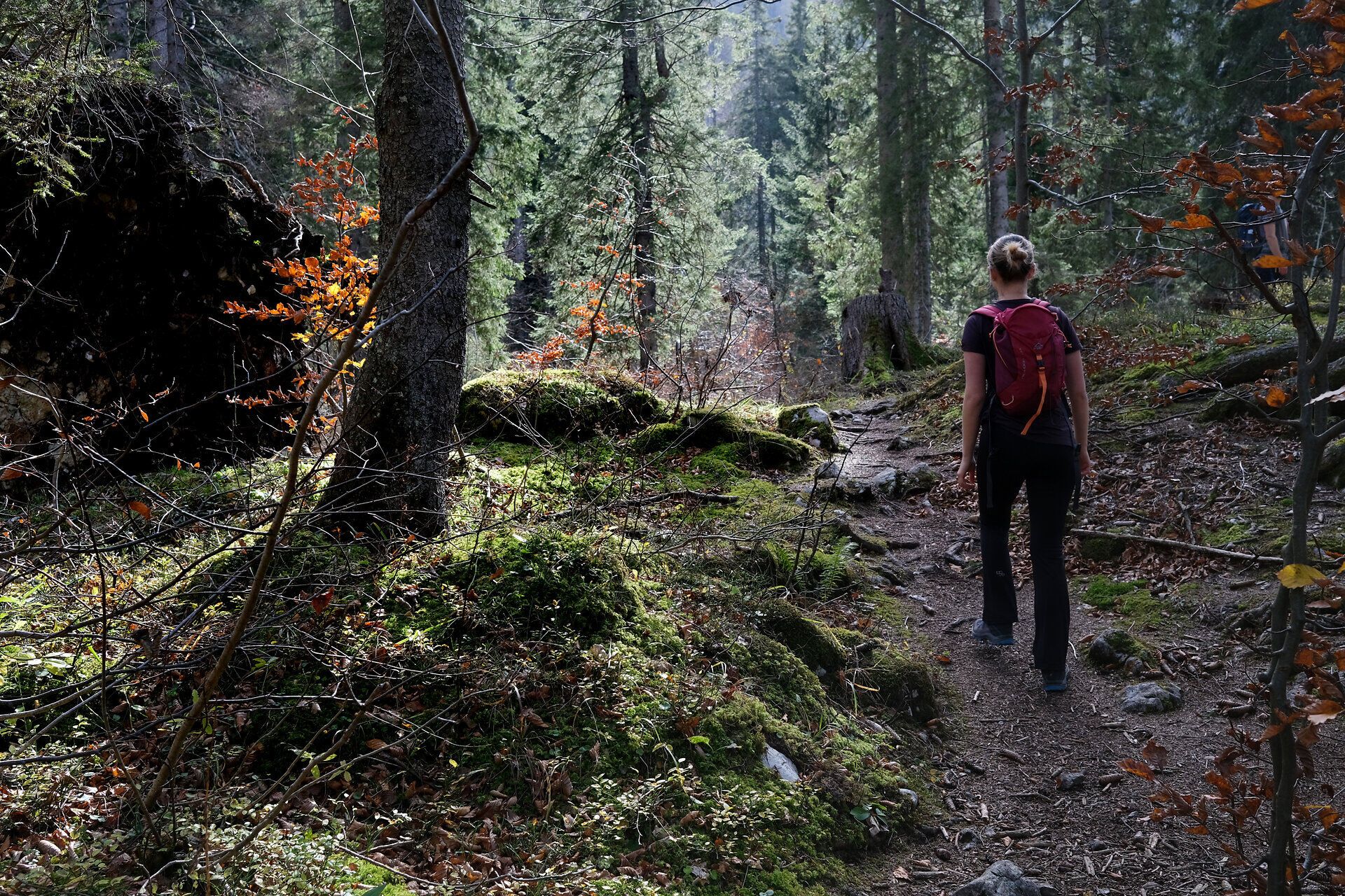 Pilgerin wandert auf schmalem Waldpfad.