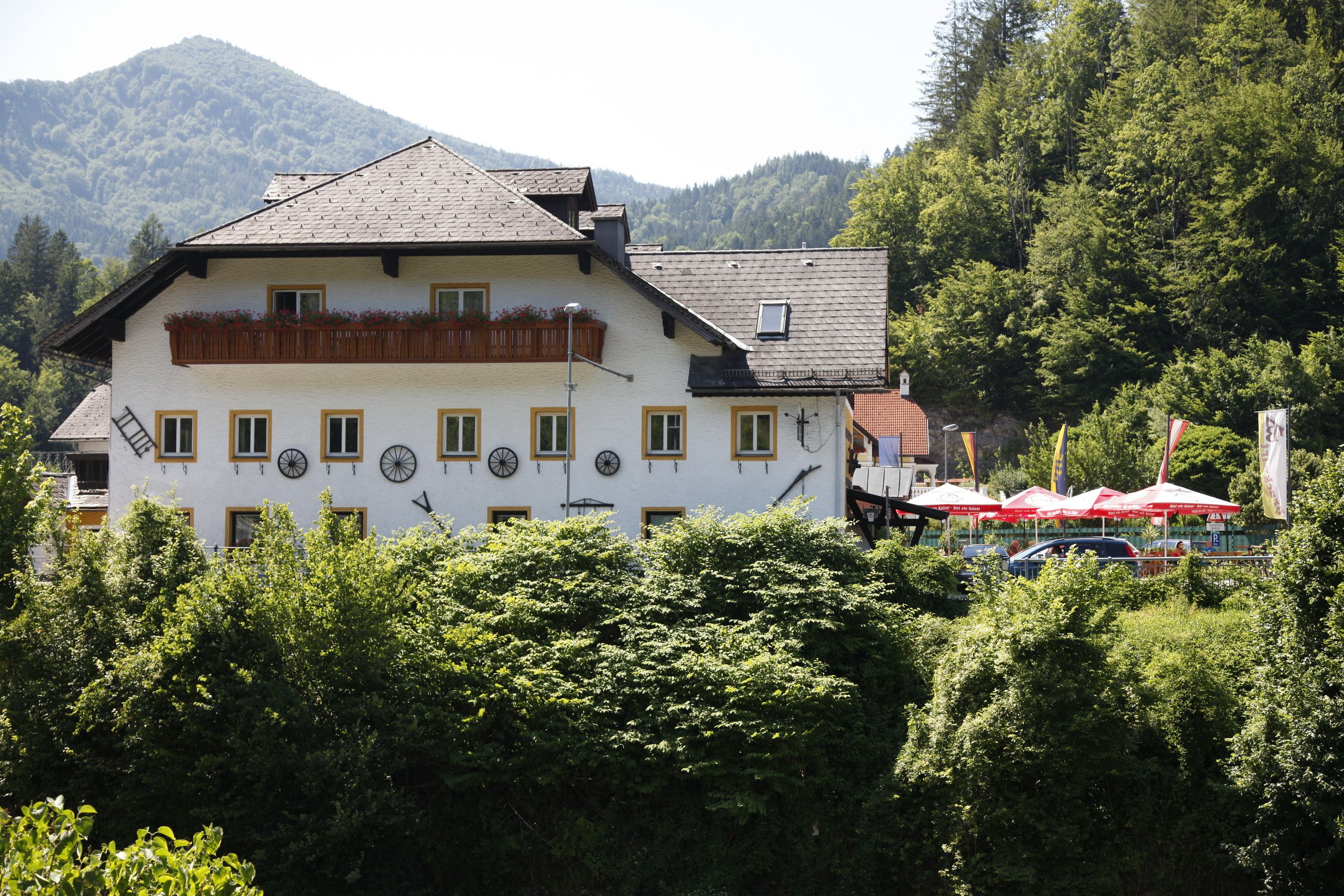 Bruckwirt