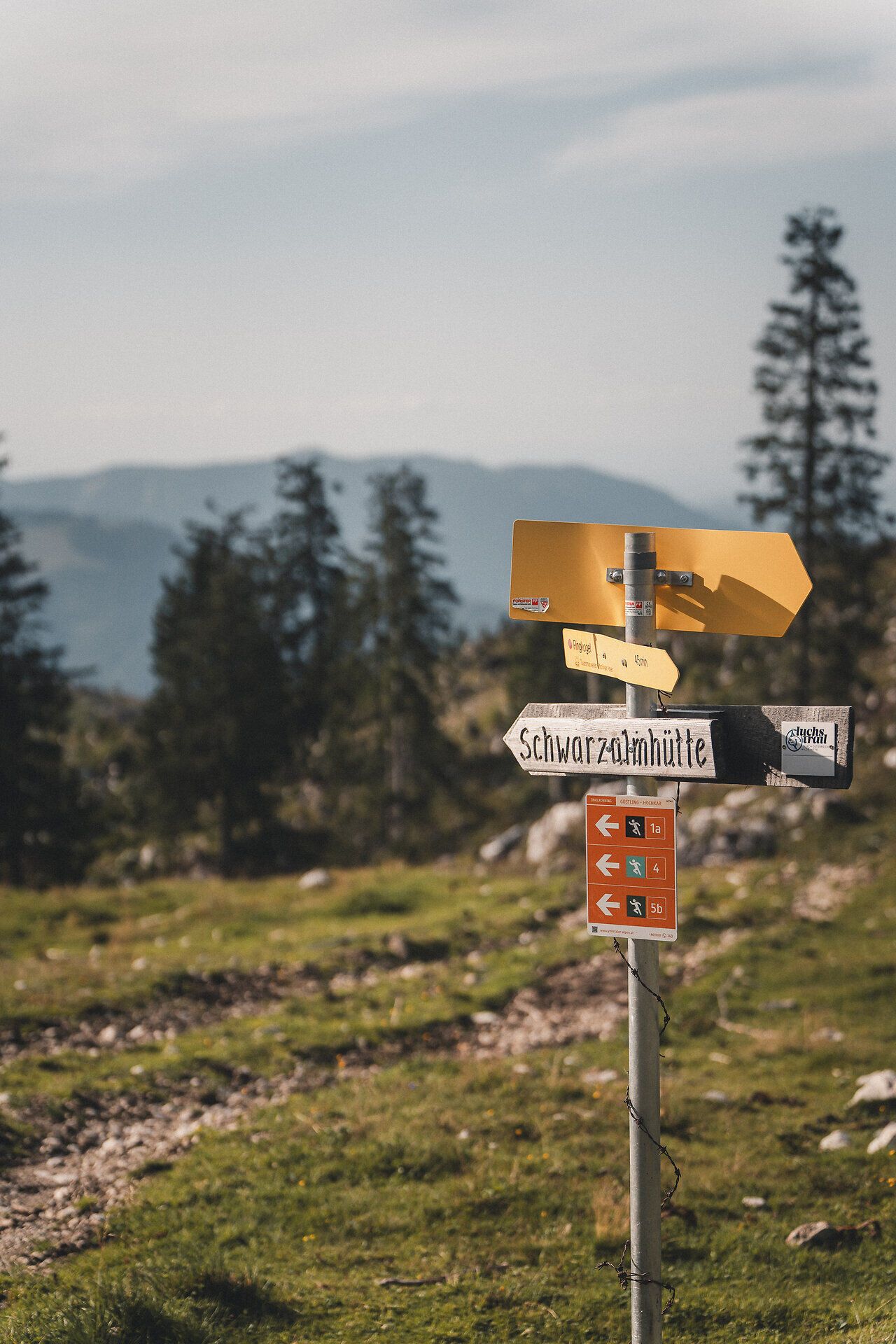 Wegweiser auf der Schwarzalm mit Berglandschaft im Hintergrund.