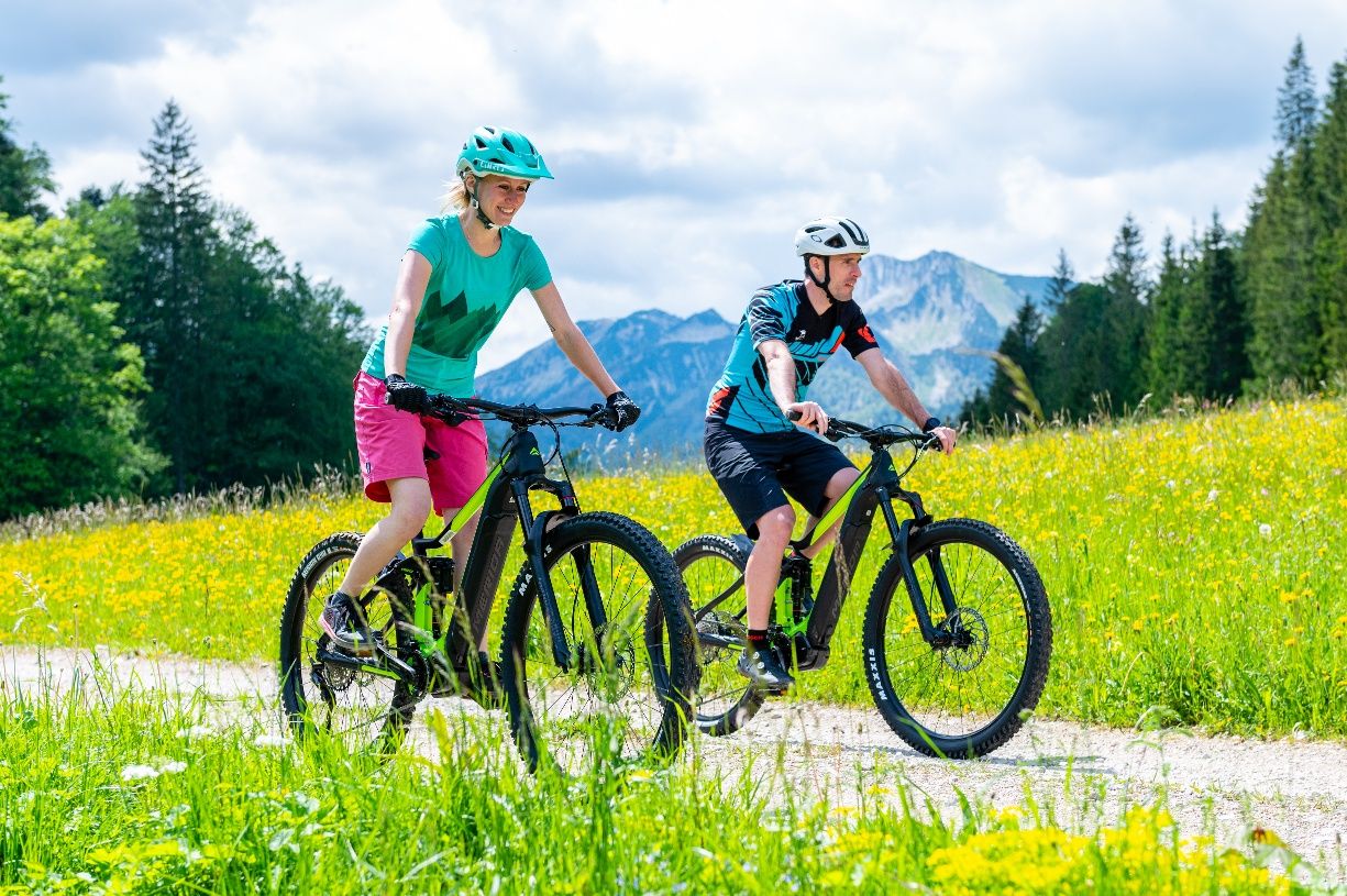 MTB_E-Bike_2