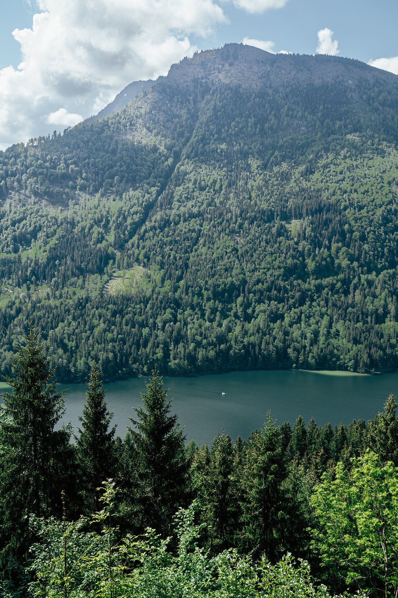 Blick vom Luchs Trail auf den Lunzer See und die bewaldeten Berge bei Lackenhof am Ötscher.