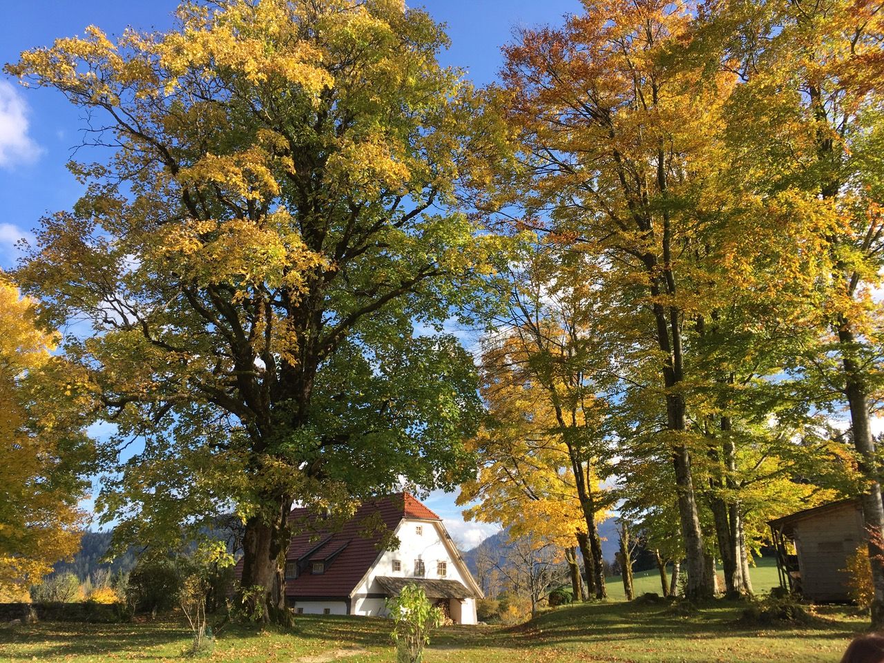 Ferienhaus Hinterbreiteneben