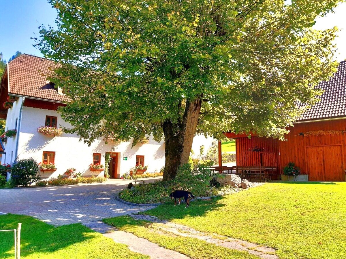 Urlaub am Bauernhof-Oberrehau