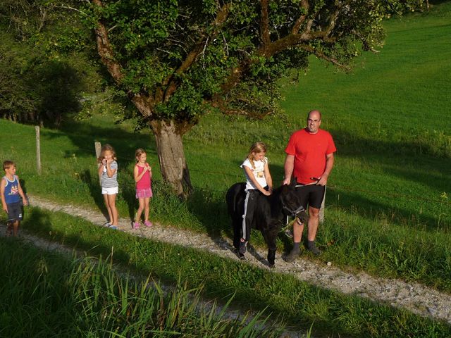 Spaziergang Ferienstadl Hammerau