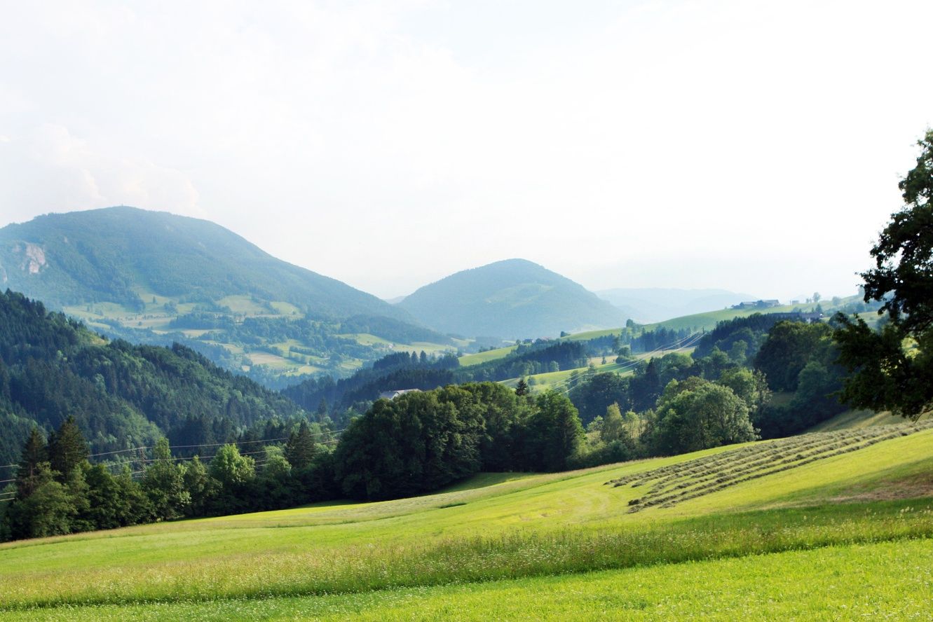 Panorama-Ausblicke rund um Ybbsitz