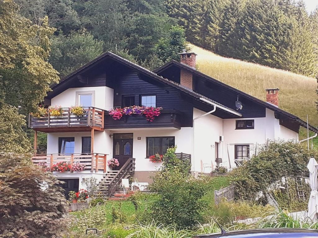 Apartmenthaus Amelie Lunz am See