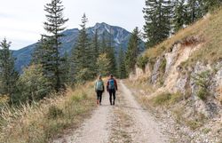 Zwei Wanderer genießen die frische Herbstluft, während sie auf einem schmalen Weg durch die Ybbstaler Alpen schreiten. Umgeben von majestätischen Bergen und dichten Nadelwäldern, vermittelt die Szenerie ein Gefühl von Freiheit und Abenteuer. Die sanften Hügel und die klare Luft laden dazu ein, die Schönheit der Natur in vollen Zügen zu erleben.