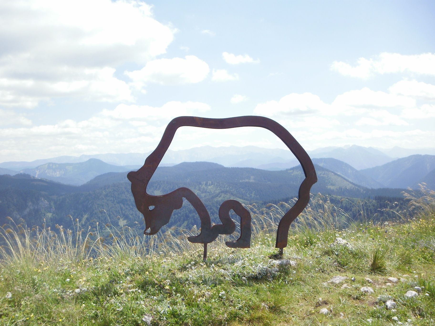 Ötscherbär am Hüttenkogel