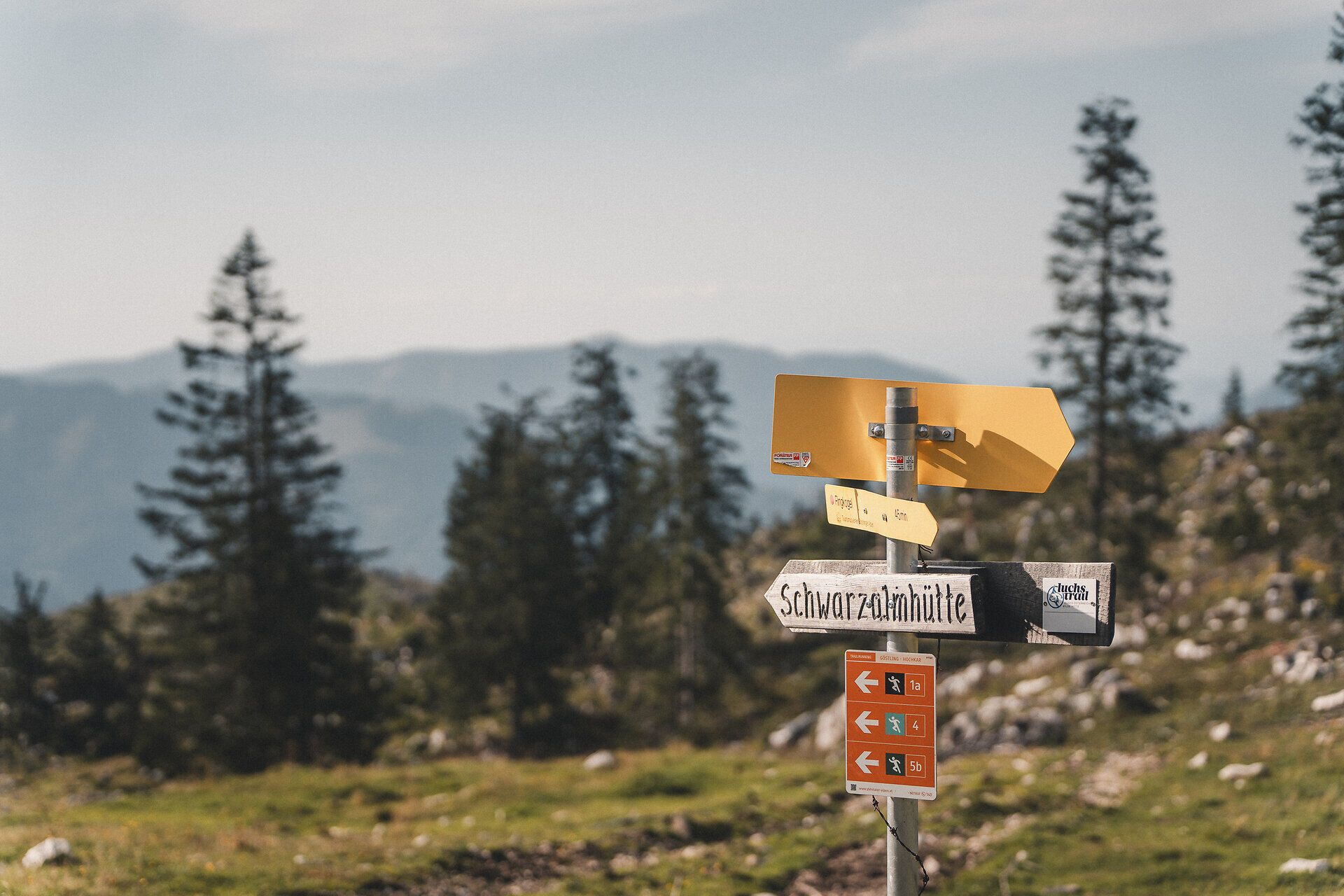 Wegweiser auf der Schwarzalm mit Berglandschaft im Hintergrund.