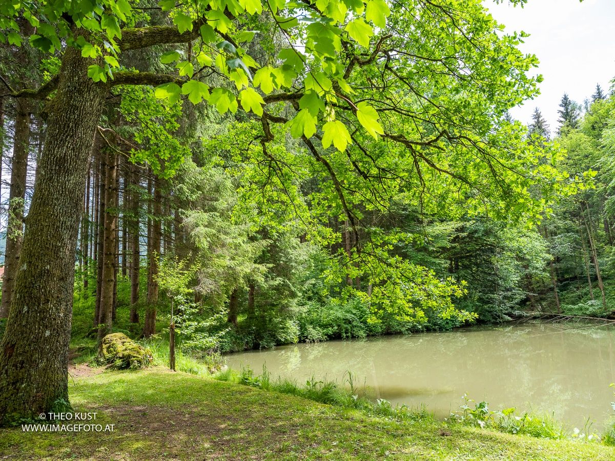Idyllische Teiche säumen den Weg