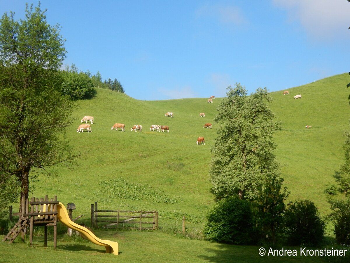 Urlaub am Bauernhof-Oberrehau