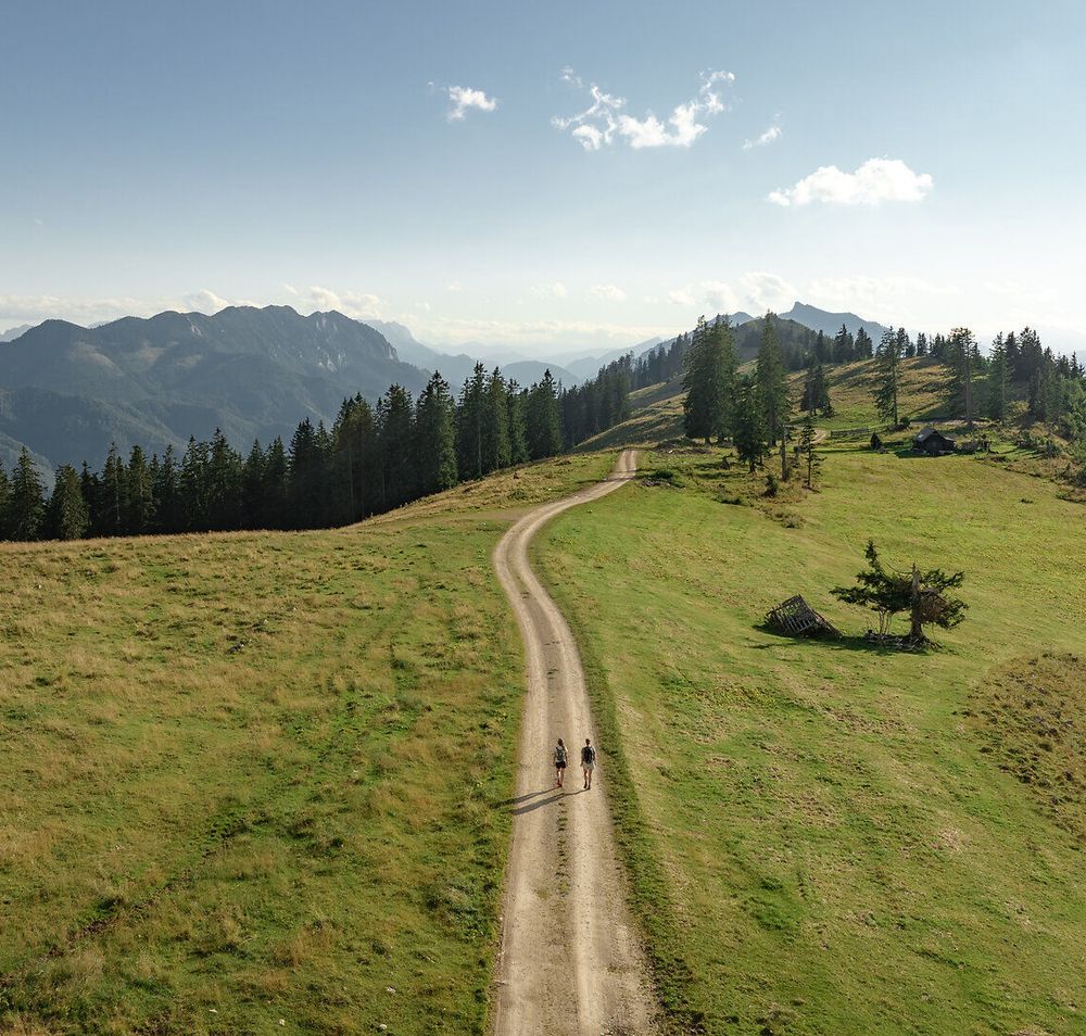 Die sanften Hügel der Ybbstaler Alpen laden zu unvergesslichen Wanderungen ein. Auf dem schmalen Weg, umgeben von saftigem Grün und majestätischen Bergen, spürt man die Ruhe und Schönheit der Natur. Hier, wo die frische Bergluft die Sinne belebt, wird jeder Schritt zum Erlebnis.