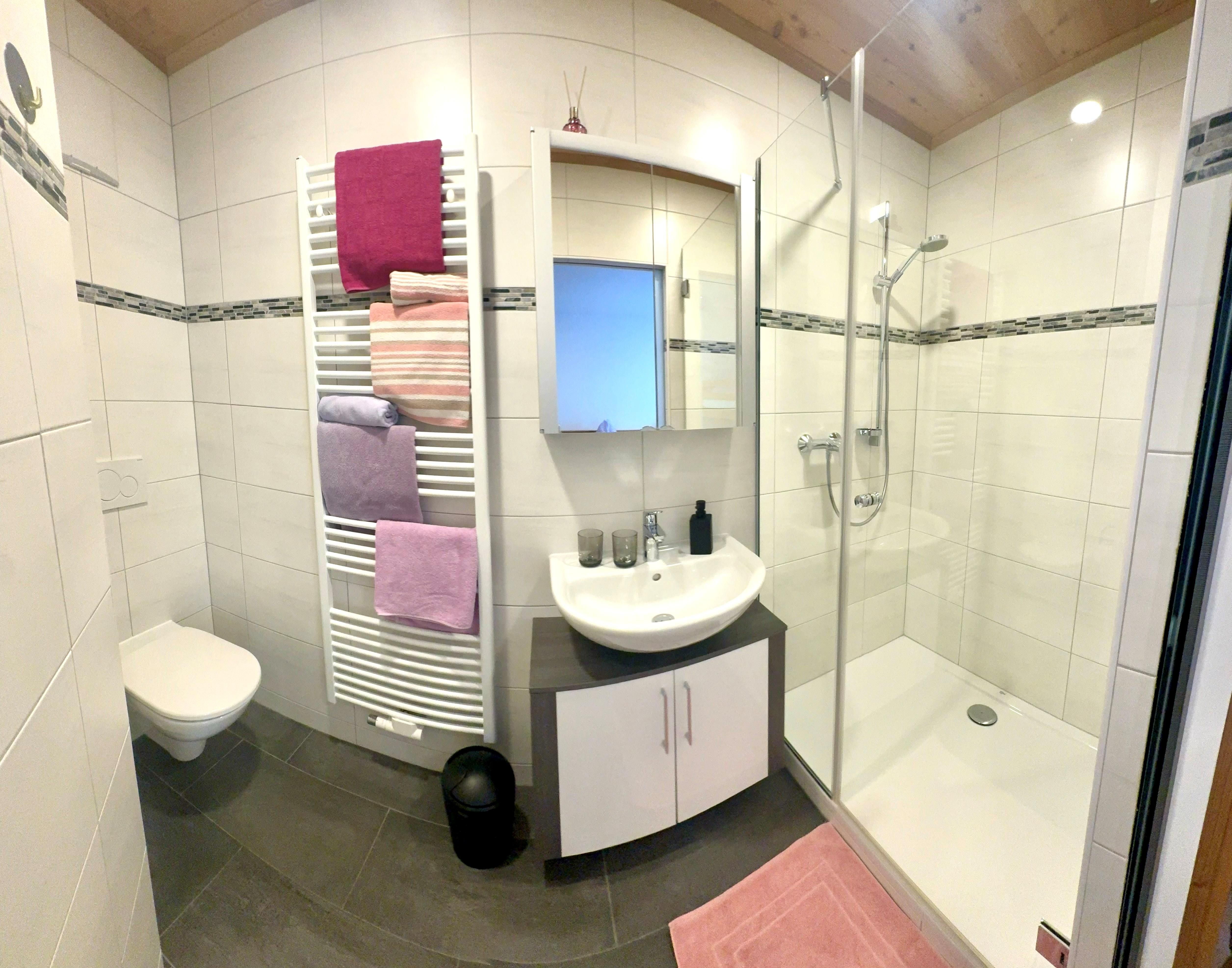 Modernes Badezimmer mit Dusche, WC und Waschbecken.