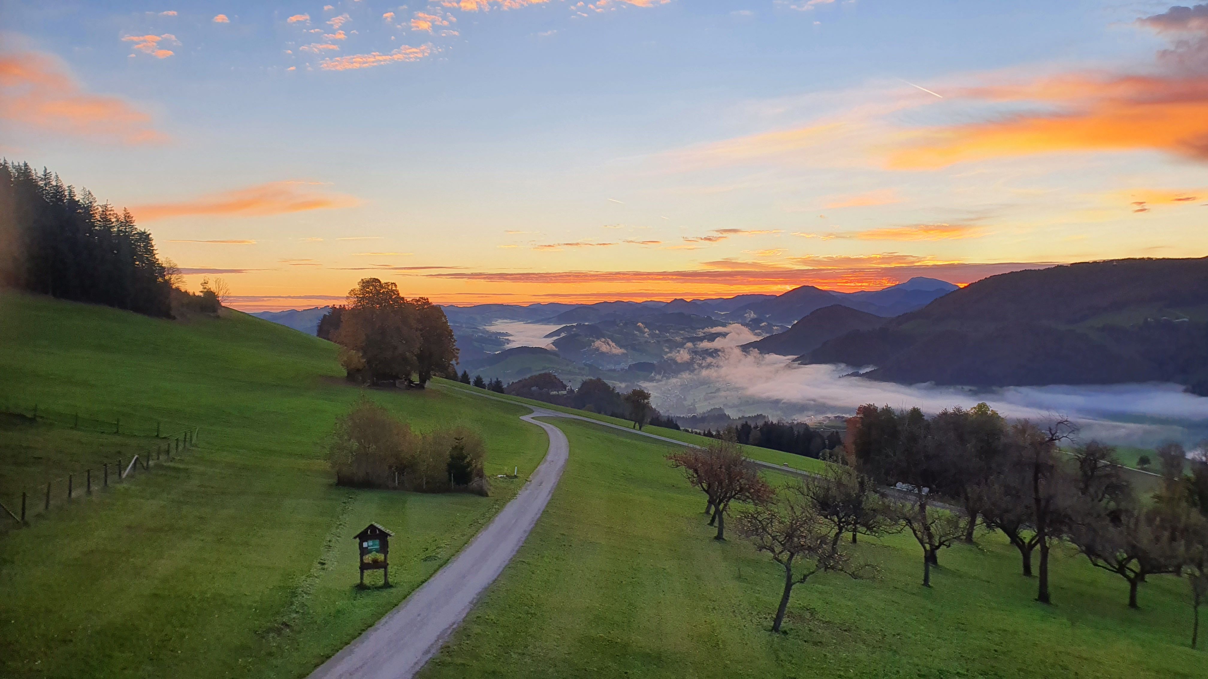 Morgenstimmung