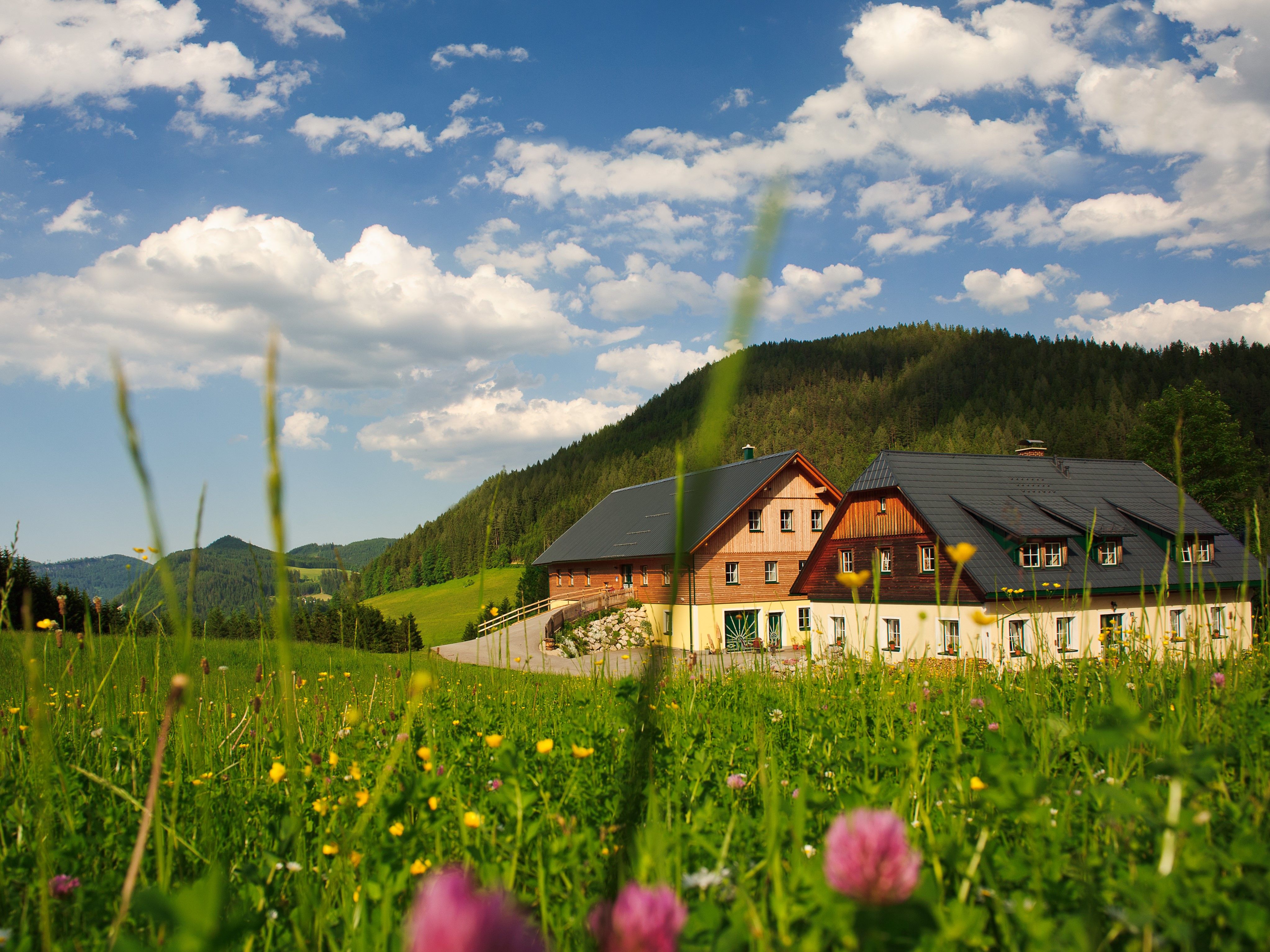 Ferienstadl Hammerau im Sommer