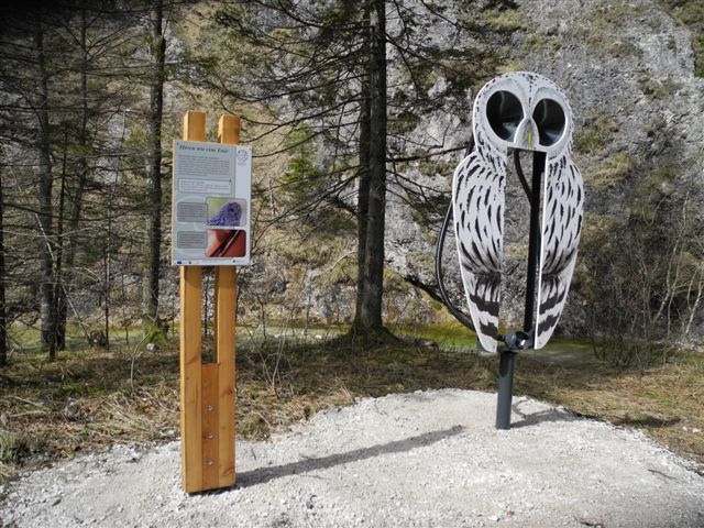 Eulenweg im Wildnisgebiet Dürrenstein