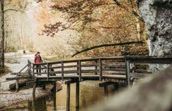 Ein malerischer Holzsteg führt durch die herbstlich gefärbte Landschaft, umgeben von leuchtenden Bäumen und sanften Hügeln. Die ruhige Atmosphäre des Mendlingtals lädt Wanderer ein, die Schönheit der Natur zu genießen und die frische Luft zu atmen.