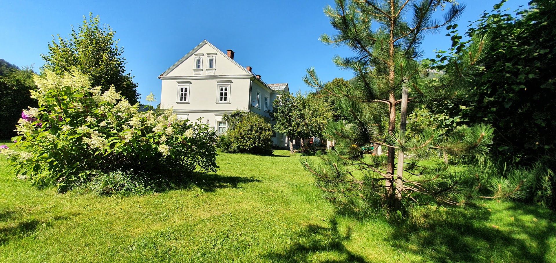 der weitläufige Garten im Sommer