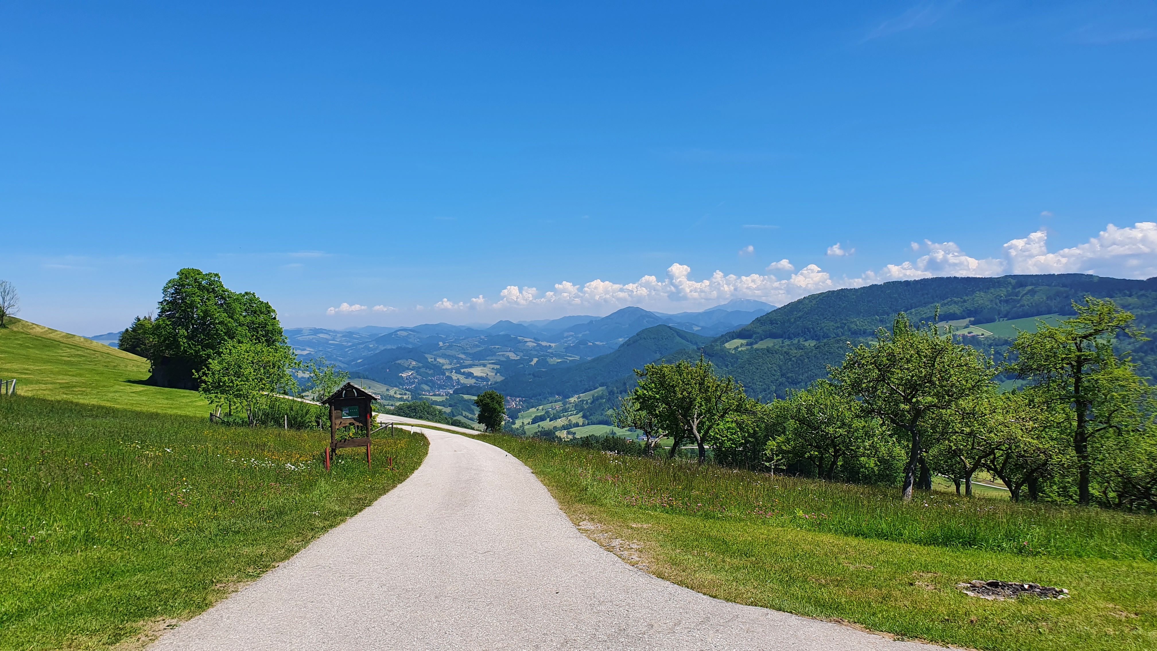 ÖtscherBlick