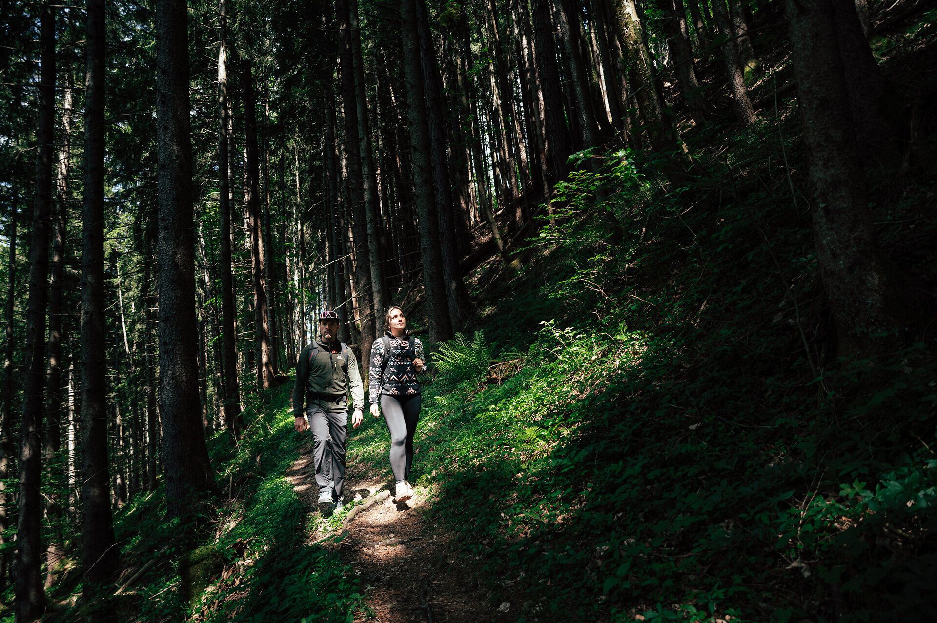 Zwei Personen wandern am Luchs Trail bei Lackenhof am Ötscher
