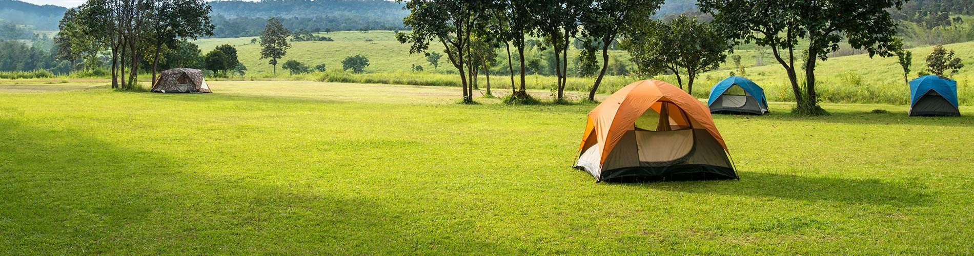Zelte auf einer grünen Wiese mit Bäumen im Hintergrund.