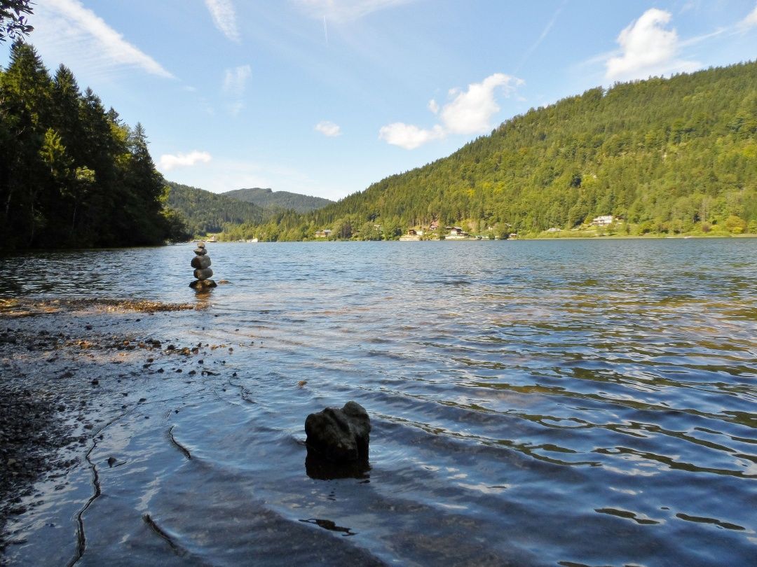 Ausblick über den Lunzer See