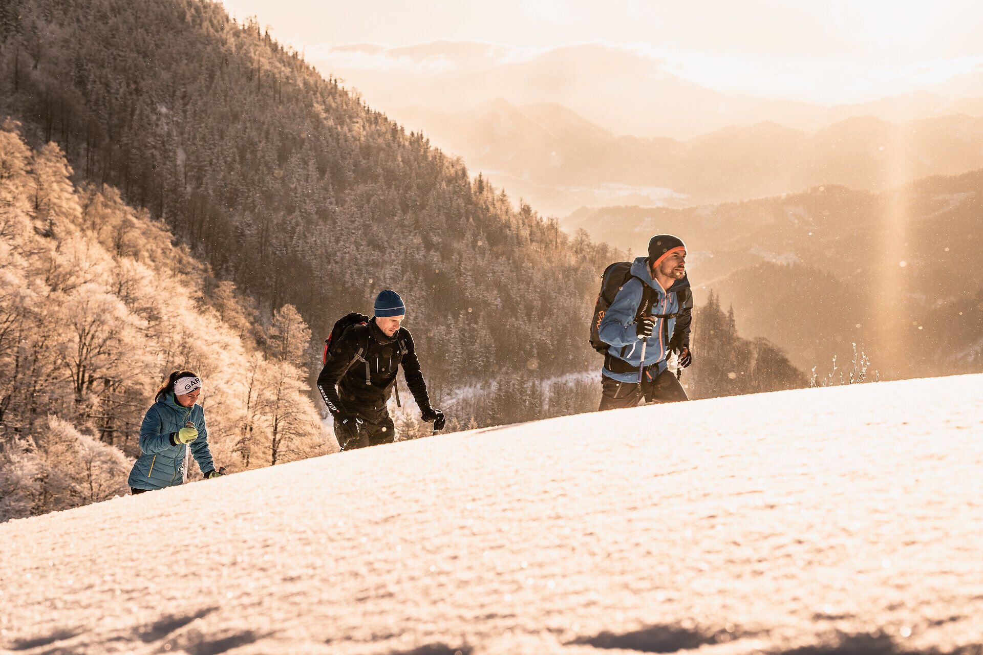 Kleine Skitouren am Kleinen Ötscher im Mostviertel bieten genussvolle Aufstiege und ruhige Abfahrten inmitten der winterlichen Ybbstaler Alpen. Die sanften Routen rund um den Kleiner Ötscher sind ideal für Einsteiger:innen und Genießer:innen, die abseits des Trubels Natur, Bewegung und alpine Stille erleben möchten.