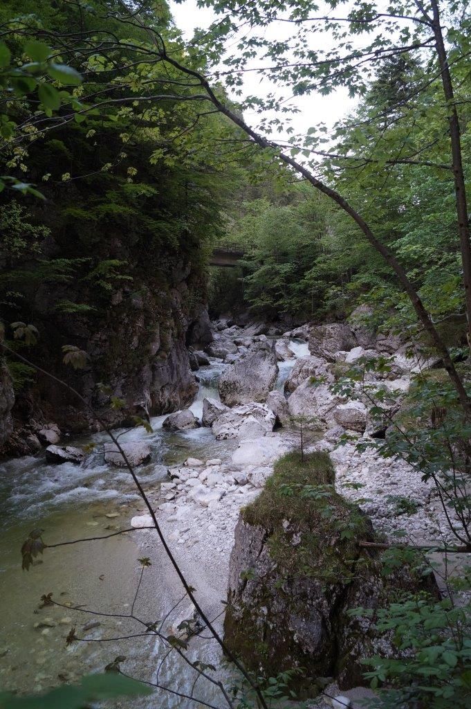 Wandern entlang des Steinbachs
