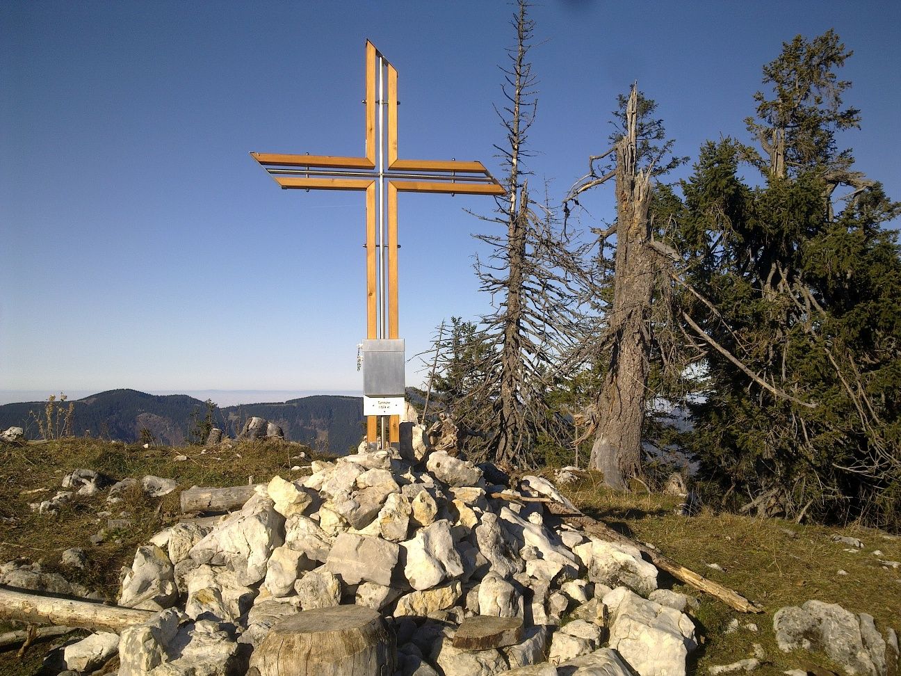 Turnhöhe