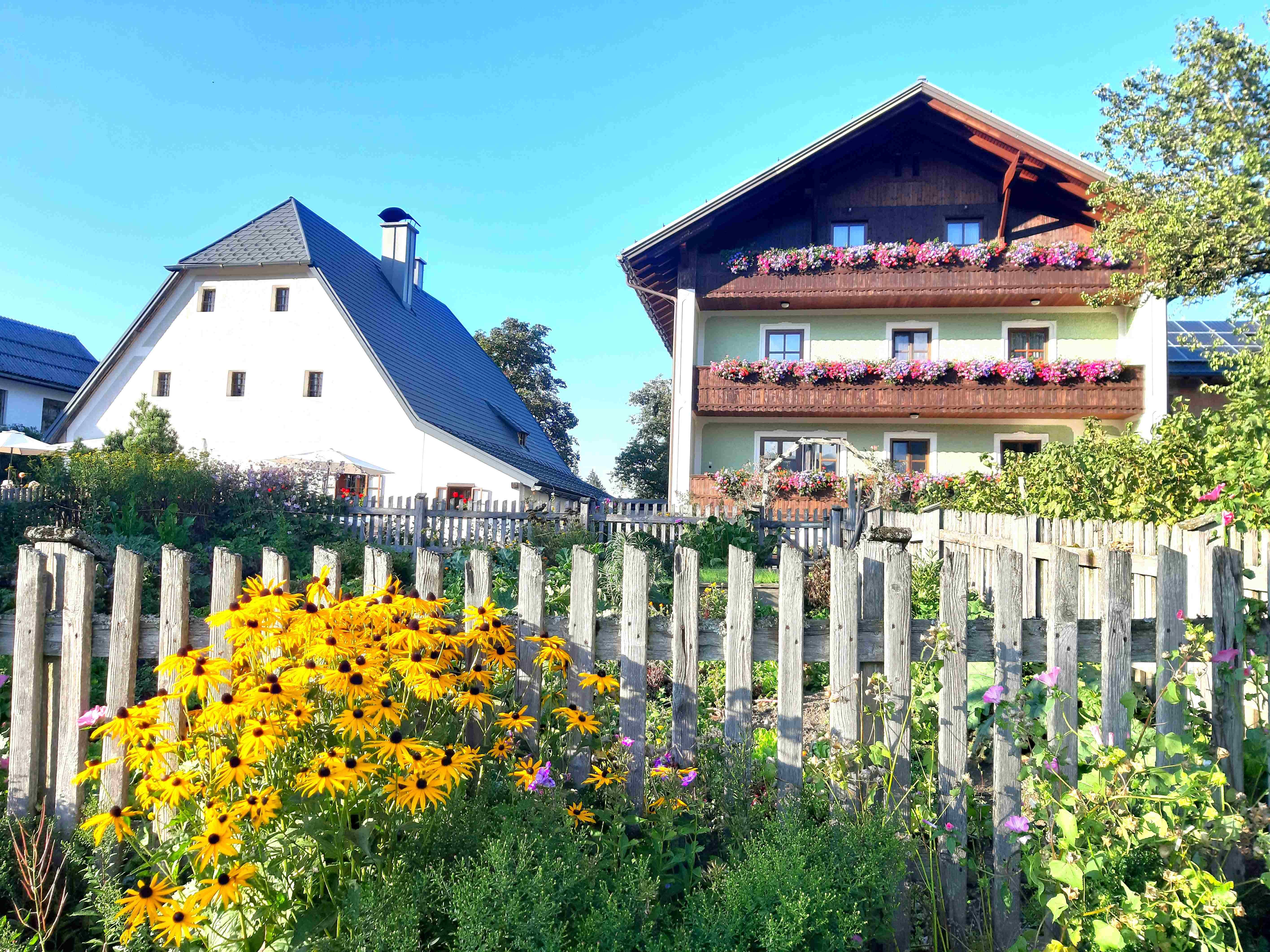 Biobauernhof Ablass
