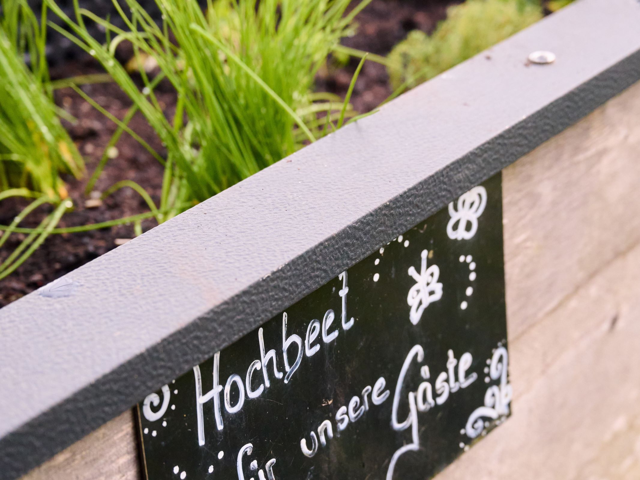 Ein Hochbeet mit Kräutern und einem Schild mit der Aufschrift 'Hochbeet für unsere Gäste'.
