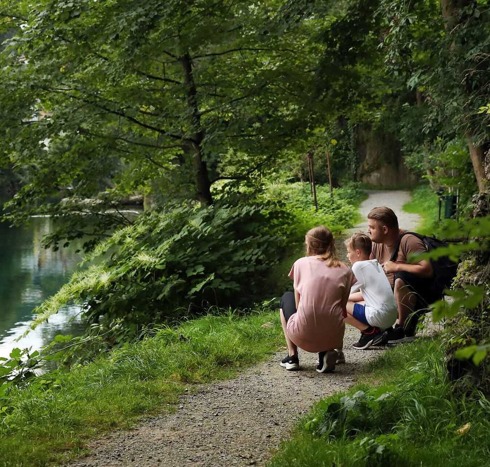Familie genießt den Ausblick auf einen Fluss im Naturpark Ybbstal bei Waidhofen an der Ybbs im Mostviertel.
