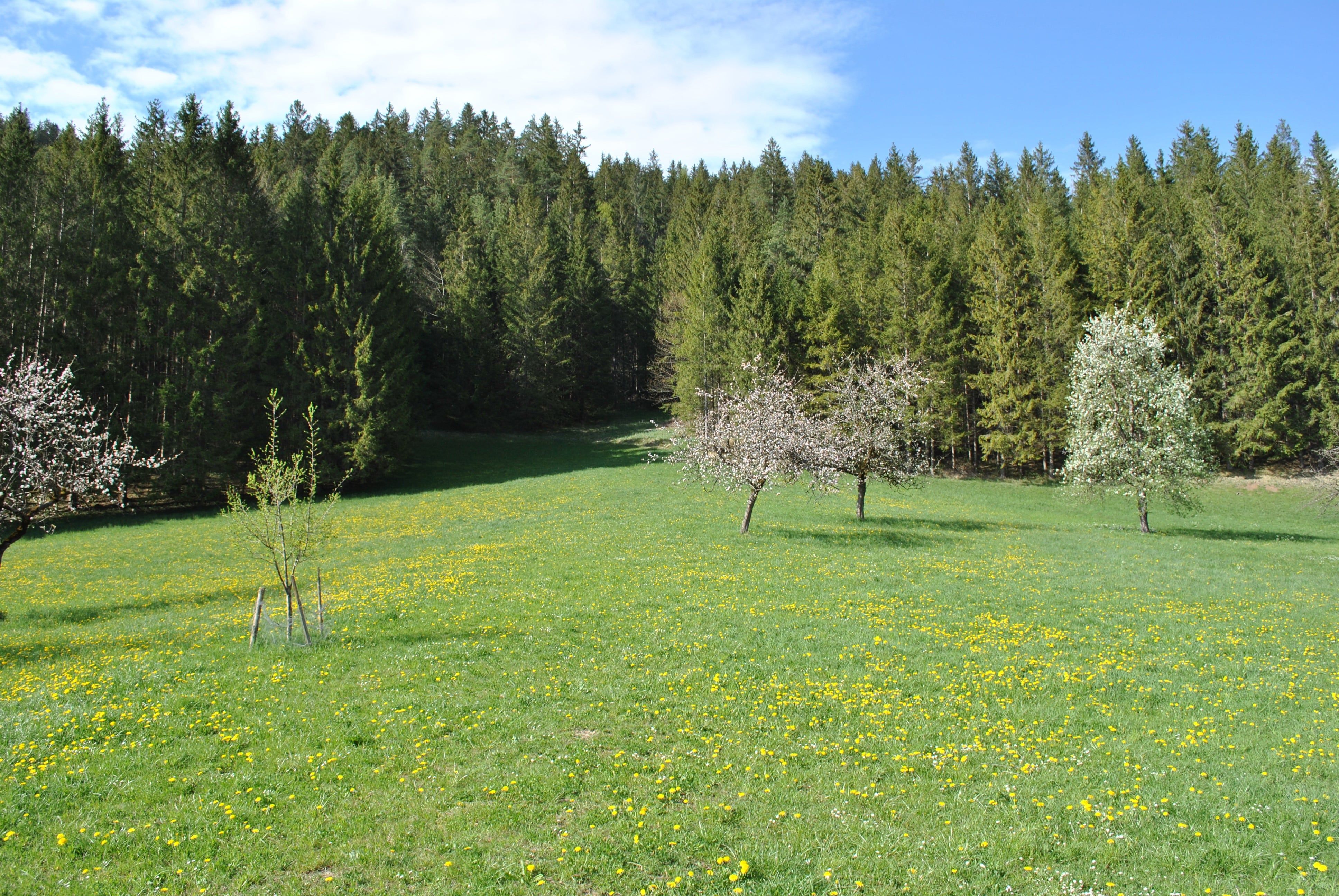 Landschaft hinter dem Haus