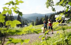 Pilger wandern auf Schotterweg durch Alm- und Wiesenlandschaft.