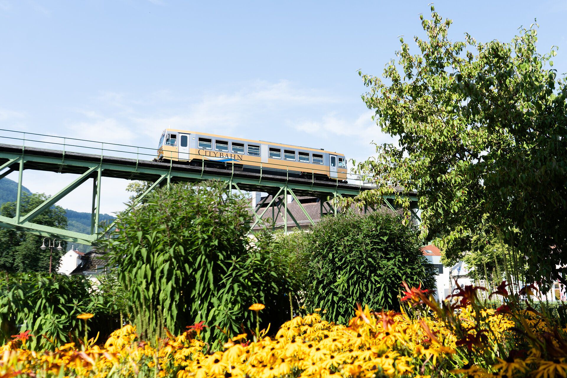Die goldene Citybahn fährt über ein Viadukt. Im Vordergrund sind gelbe Blumen.