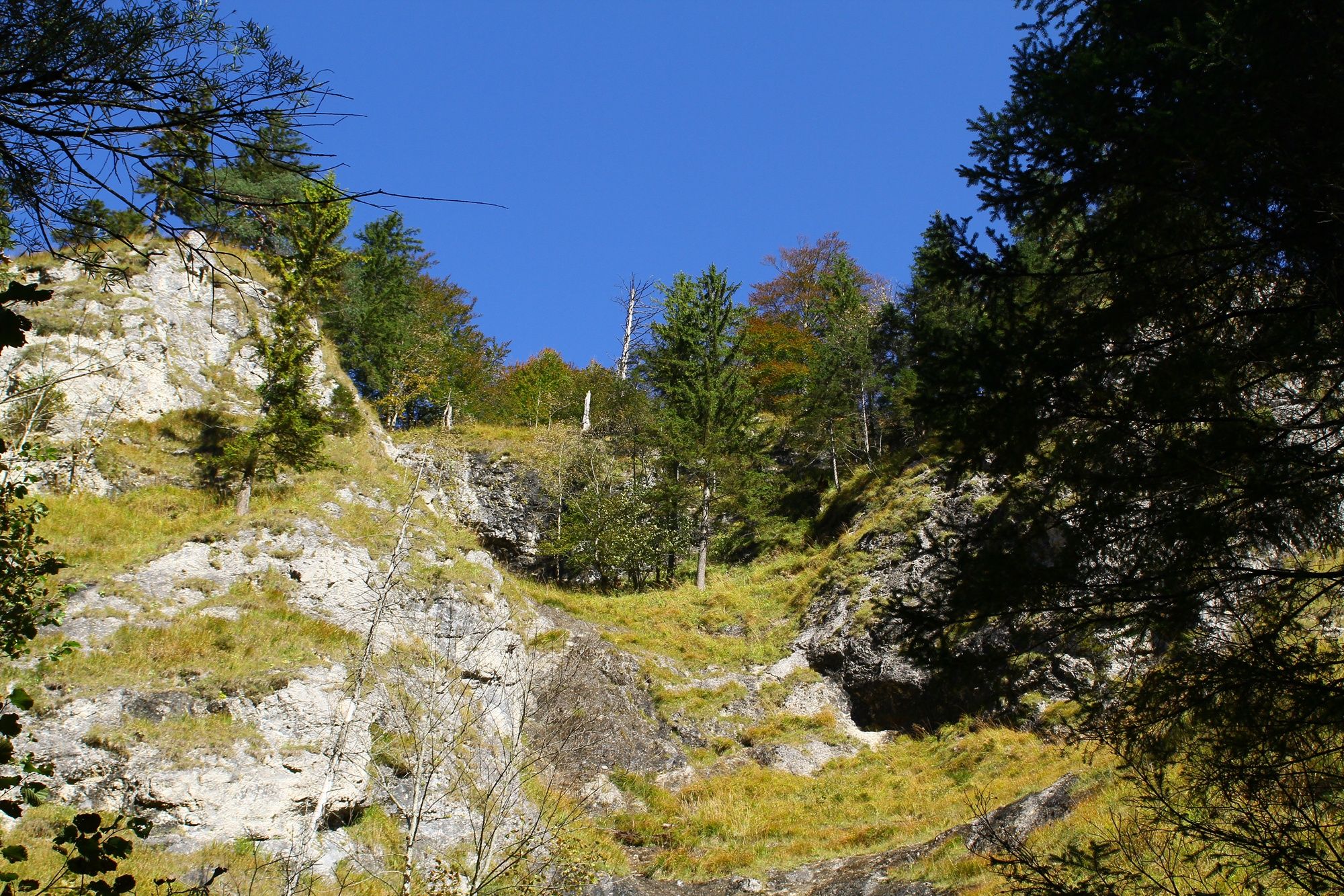 Am Eulenweg