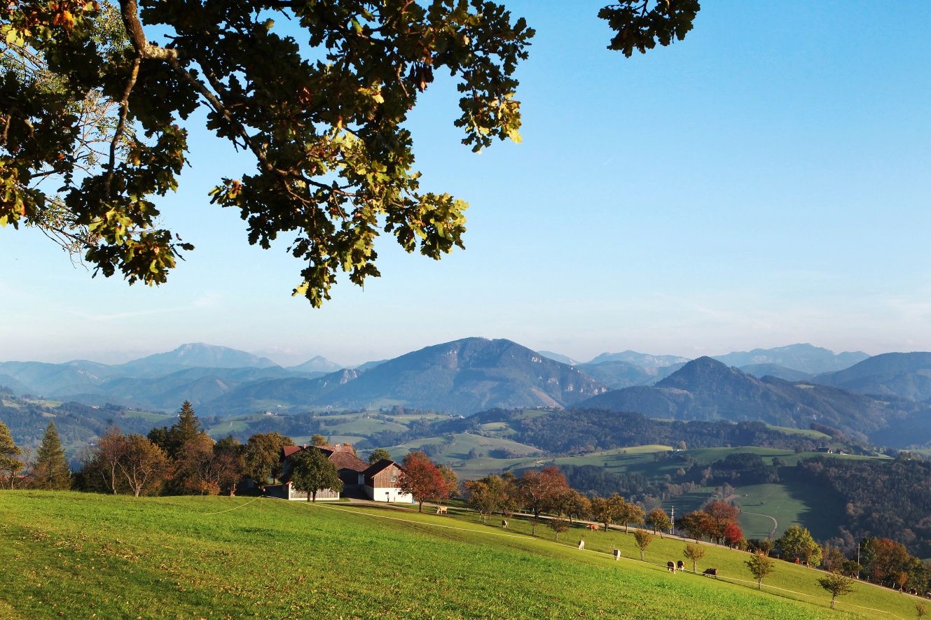 Blick über die weitläufige Landschaft am Panoramahöhenweg