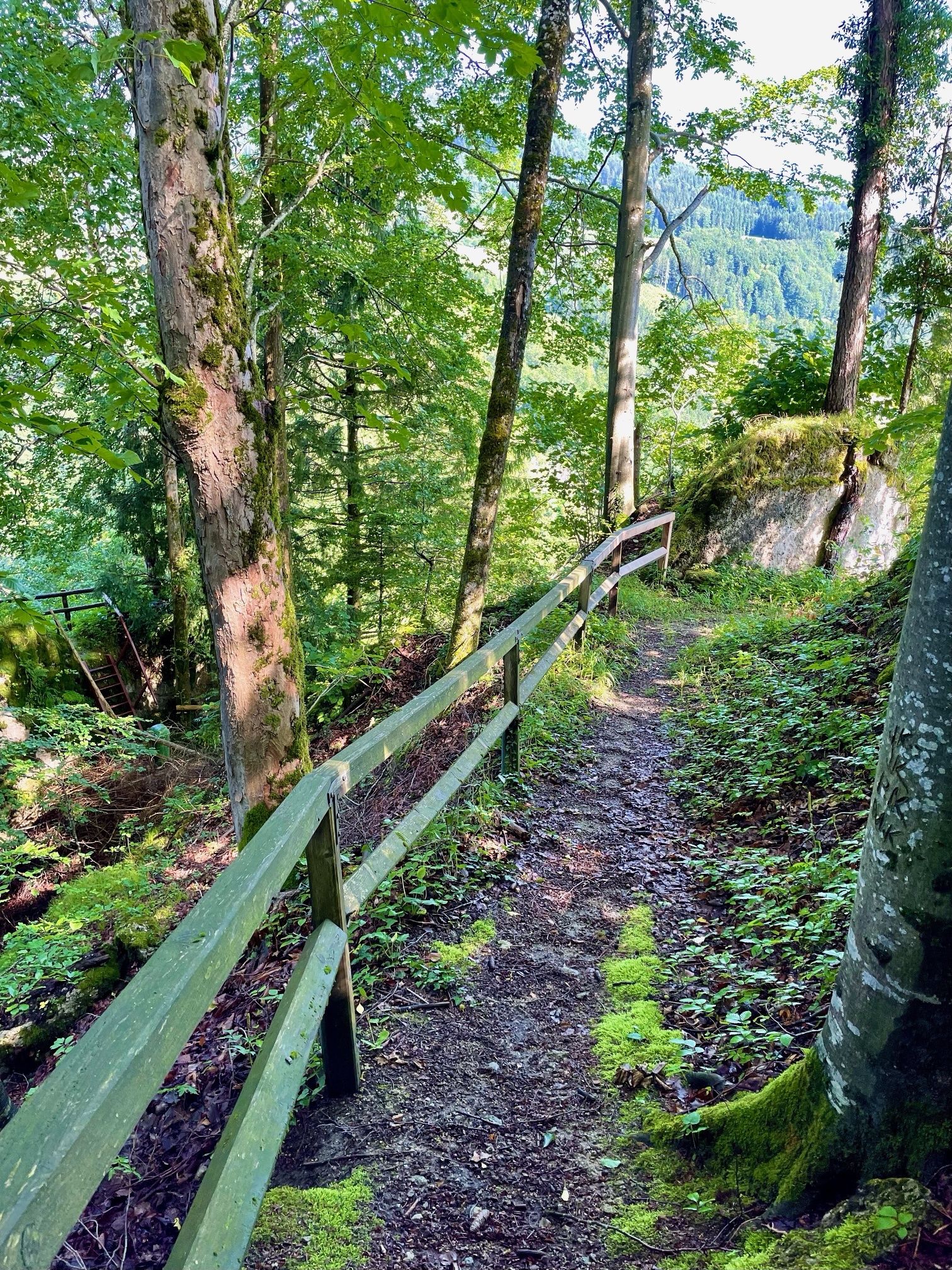 Moltererweg Opponitz