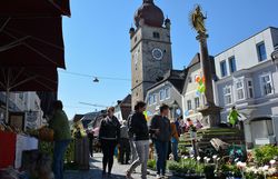 Markt in Waidhofen an der Ybbs
