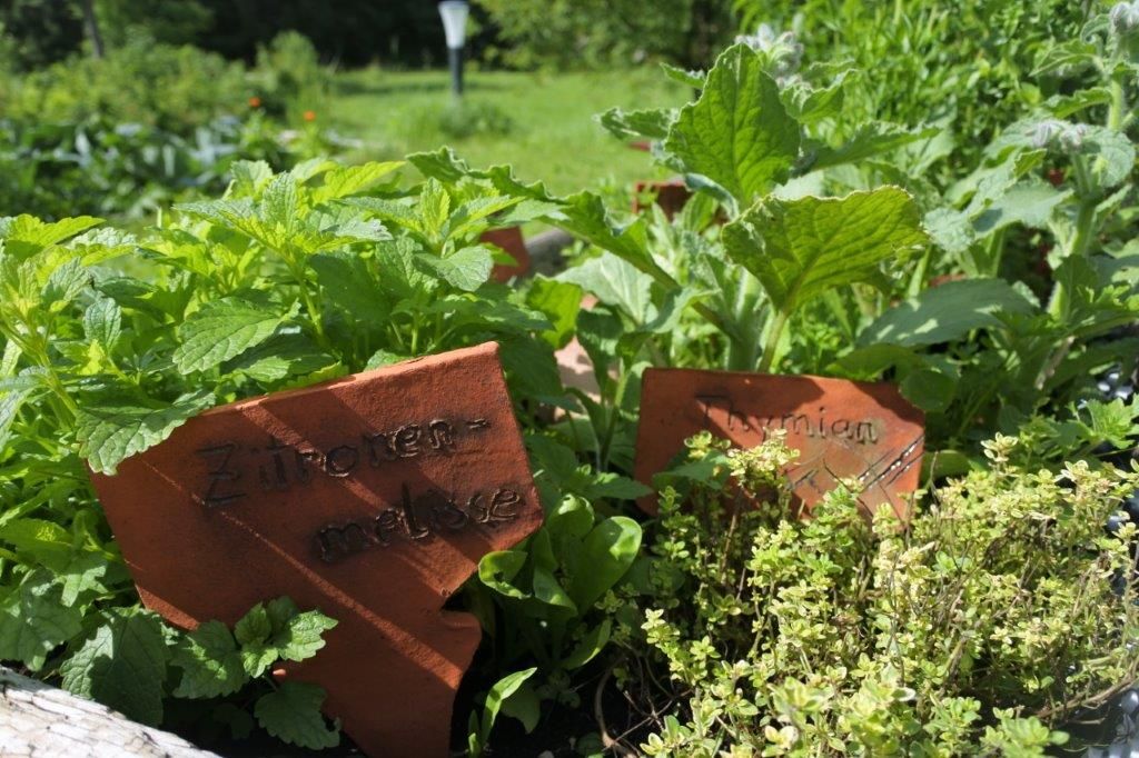 Kräutergarten
