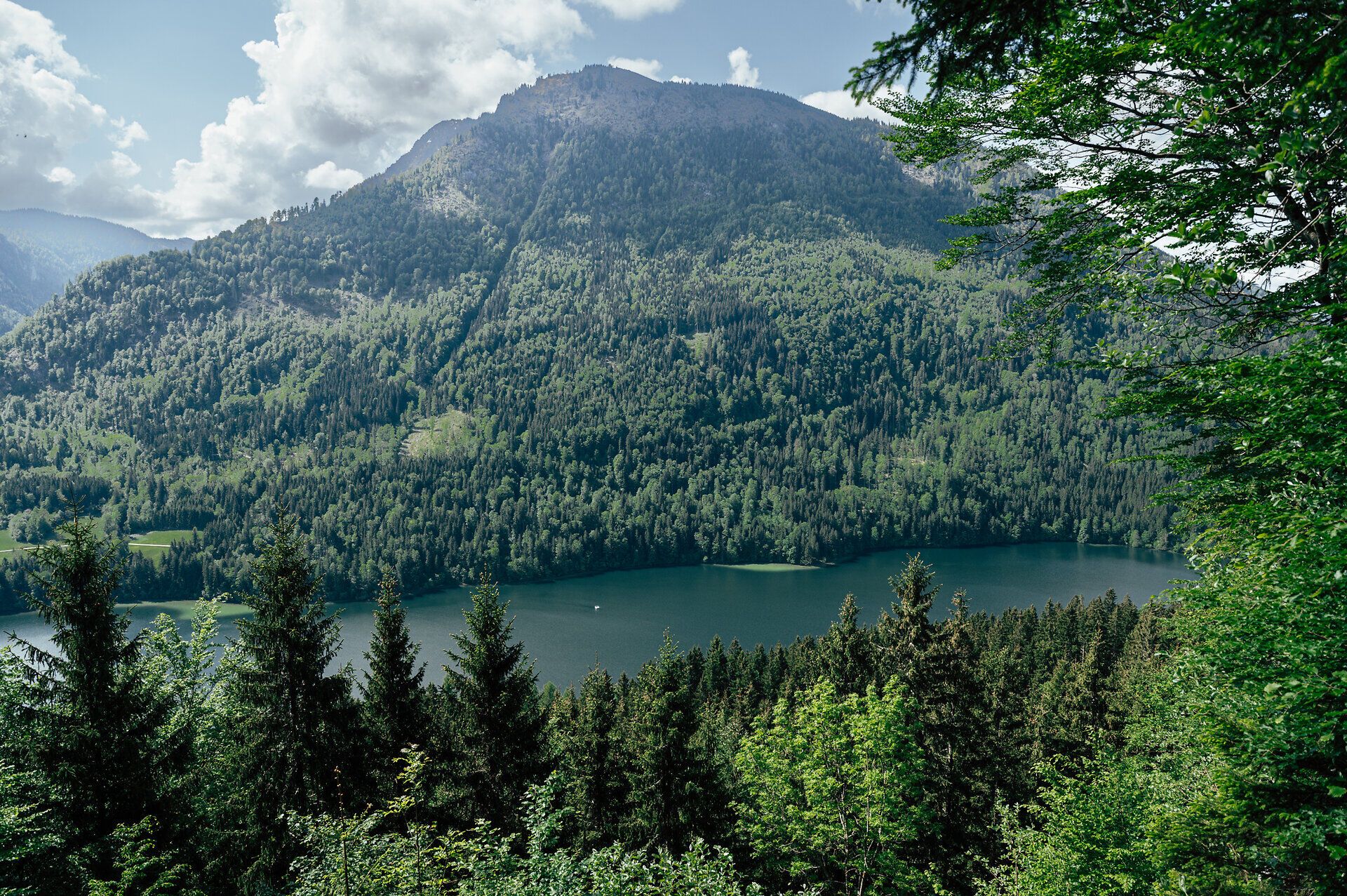 Blick vom Luchs Trail auf den Lunzer See und die bewaldeten Berge bei Lackenhof am Ötscher.