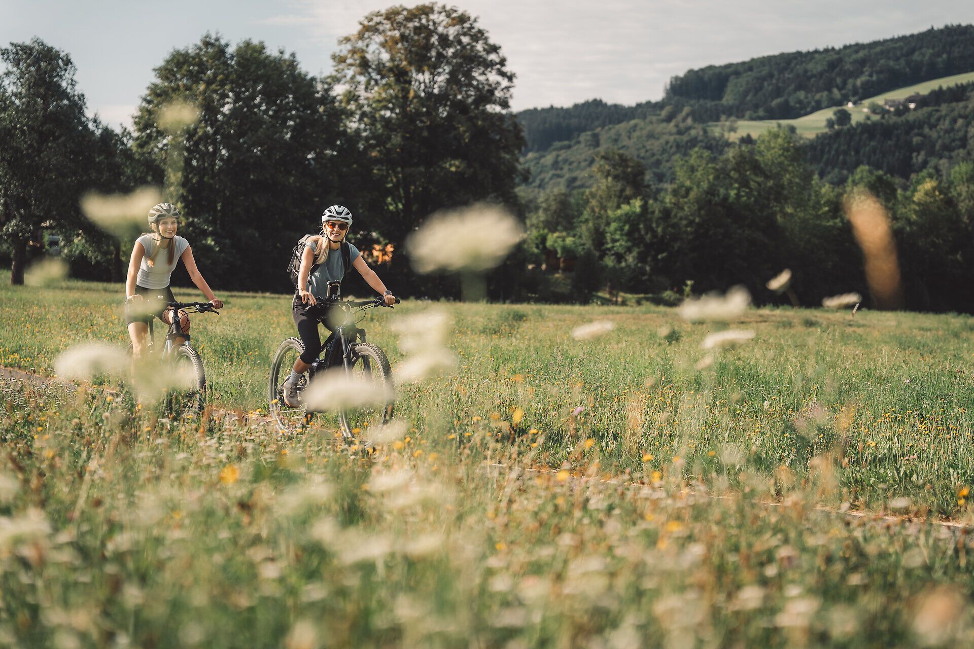 Radfahrerinnen fahren entlang bunter Blumenwiesen am Kleinen Erlauftalradweg.