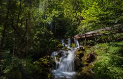 Ein sanfter Wasserfall plätschert zwischen moosbedeckten Steinen und umrahmt von üppigem Grün, das die Sinne belebt. Die frische, klare Luft und das beruhigende Geräusch des Wassers laden zu einem entspannenden Spaziergang ein, während die Natur in voller Pracht erblüht.