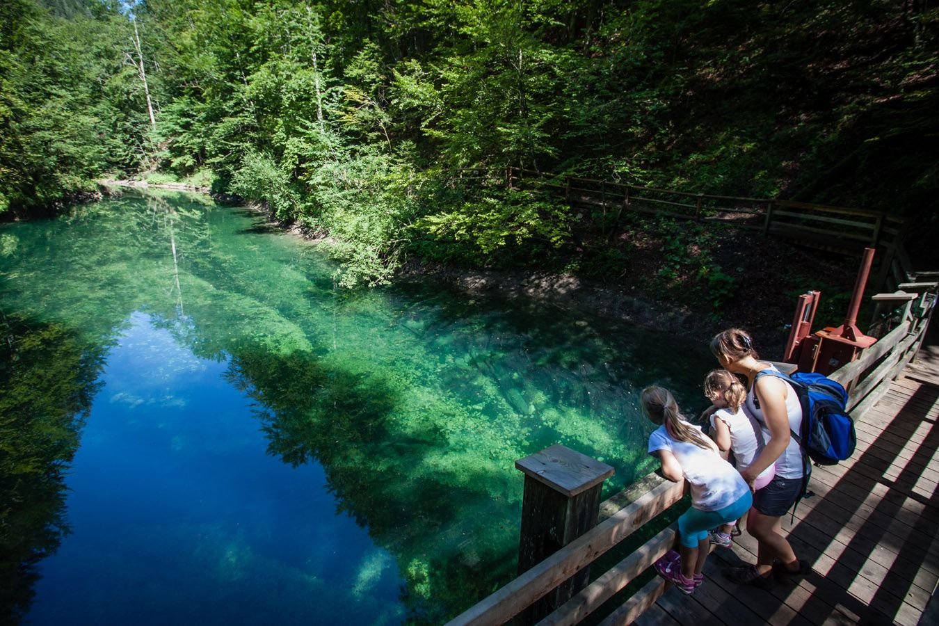 Eine Frau und zwei Kinder schauen von einem Holzsteg auf einen klaren, grünen Fluss in einem Wald.