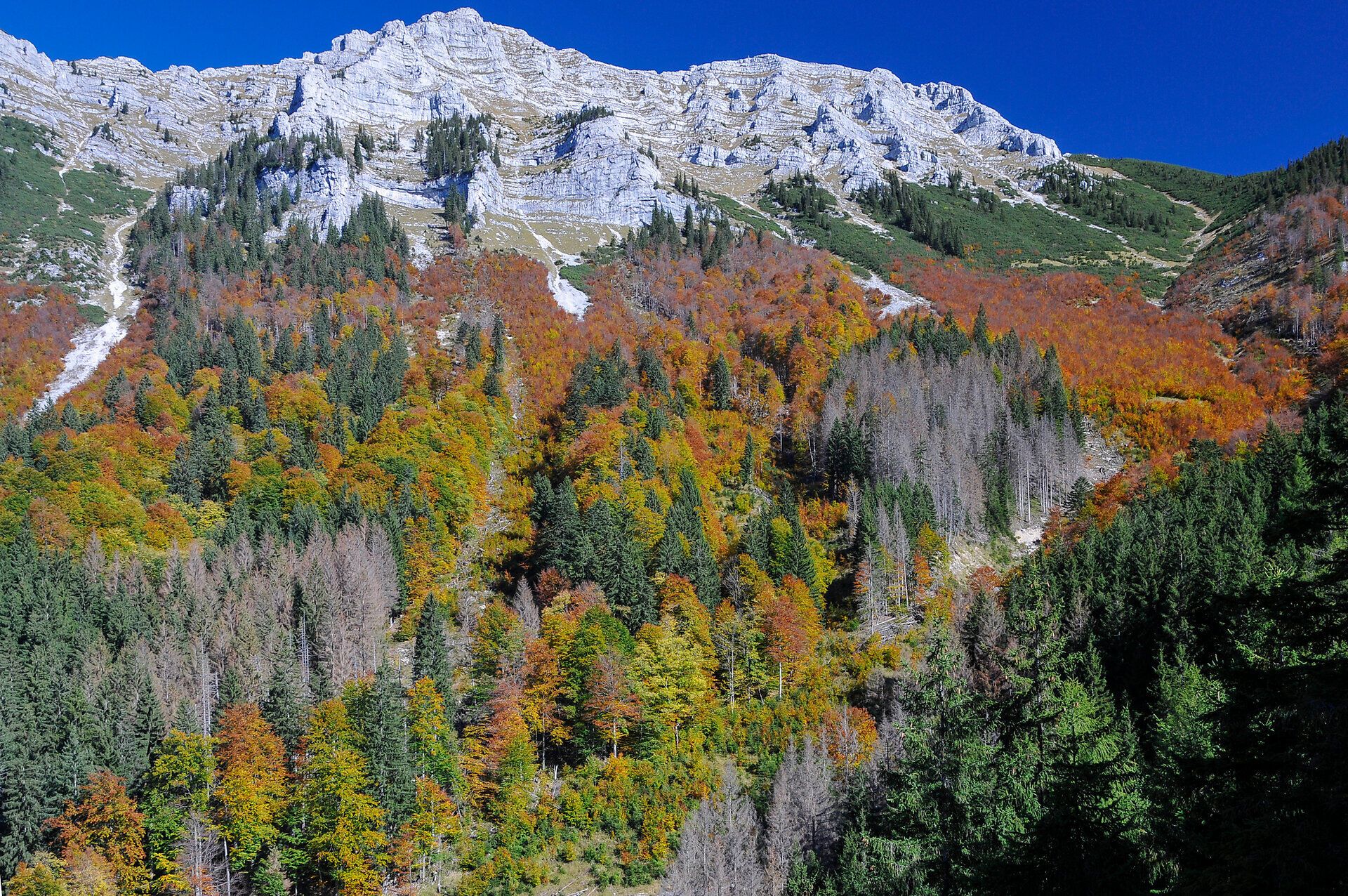 Die herbstlichen Farben der Wälder erstrahlen in leuchtenden Gelb- und Rottönen, während die majestätischen Berge im Hintergrund eine beeindruckende Kulisse bieten. Ein sanfter Wind weht durch die Bäume und trägt den Duft von frischem Laub und Erde mit sich. Hier, in der unberührten Natur, findet man Ruhe und Inspiration.