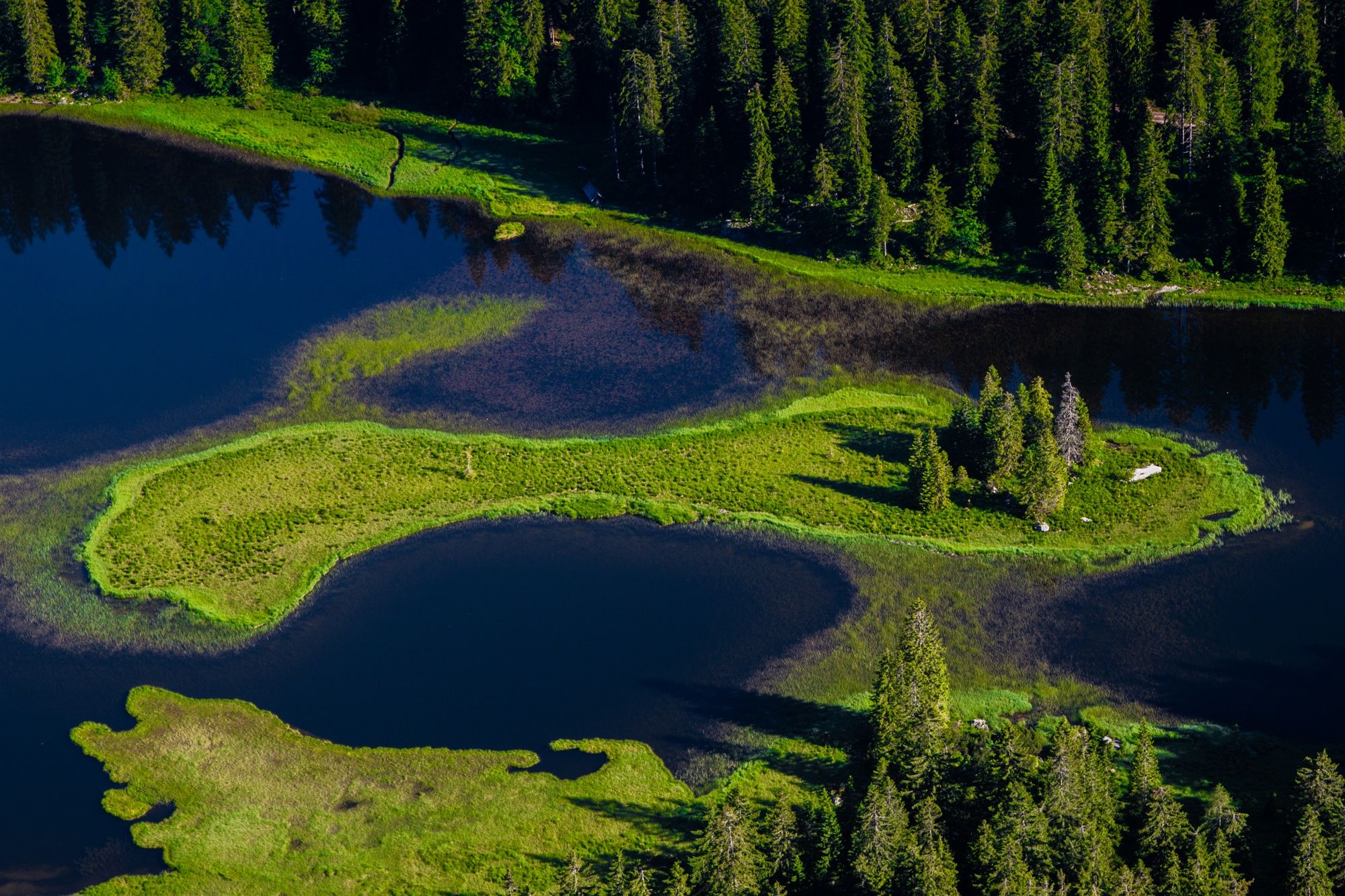 Der Obersee