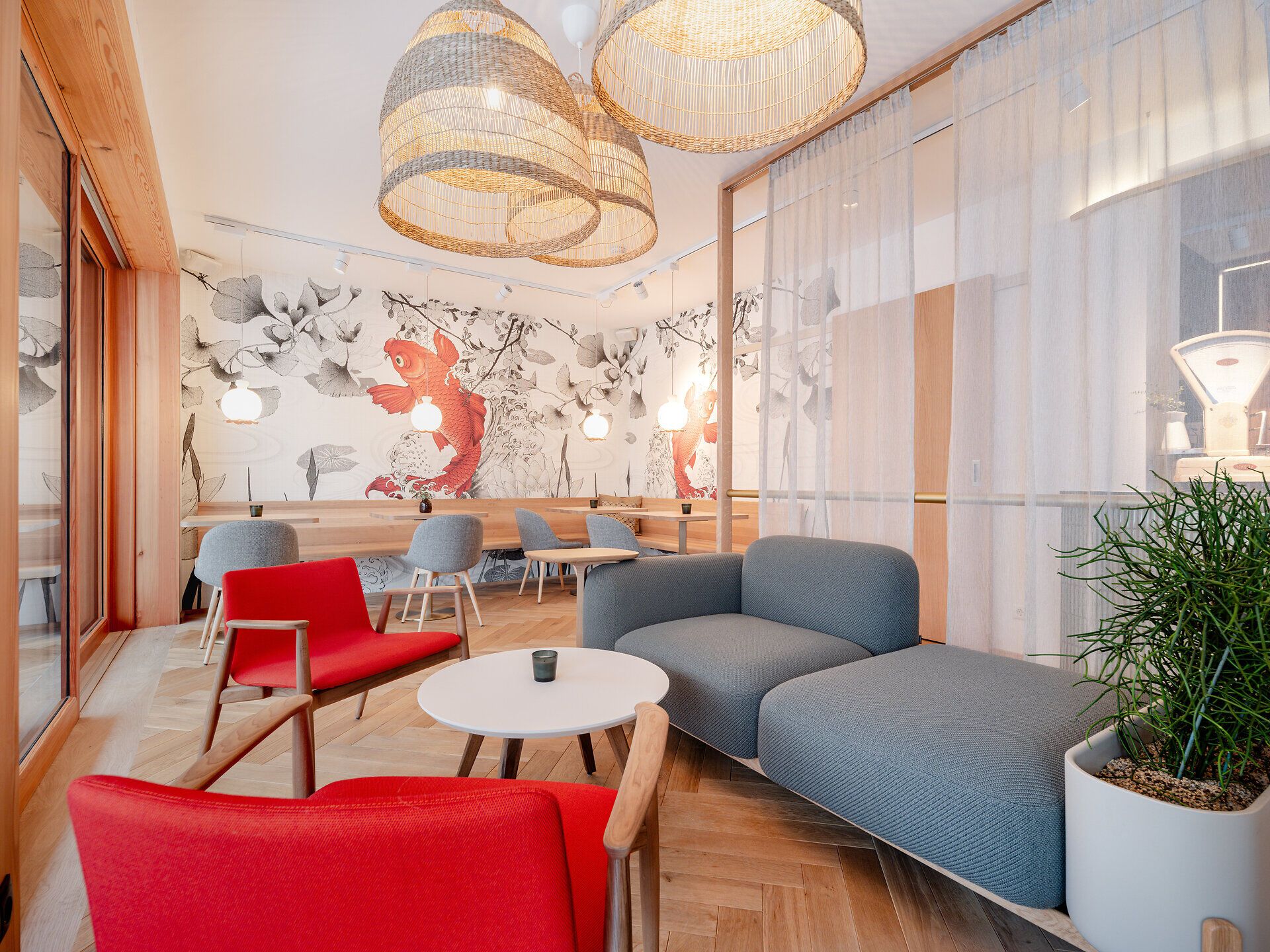Café Y9