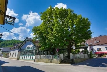 Gasthof zum Goldenen Hirschen